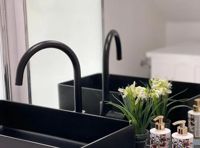 Berg Messe Dg 1zi, K,d,b Parkplatz, W-lan, Homeoffice Lejlighed *